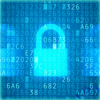 Privacy Policy Privacy